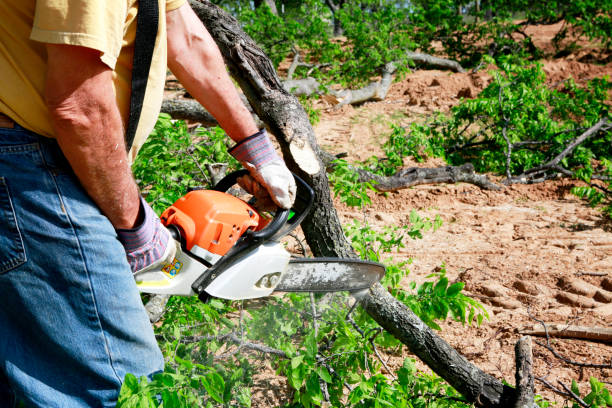 Mulching Services in Abbeville, GA